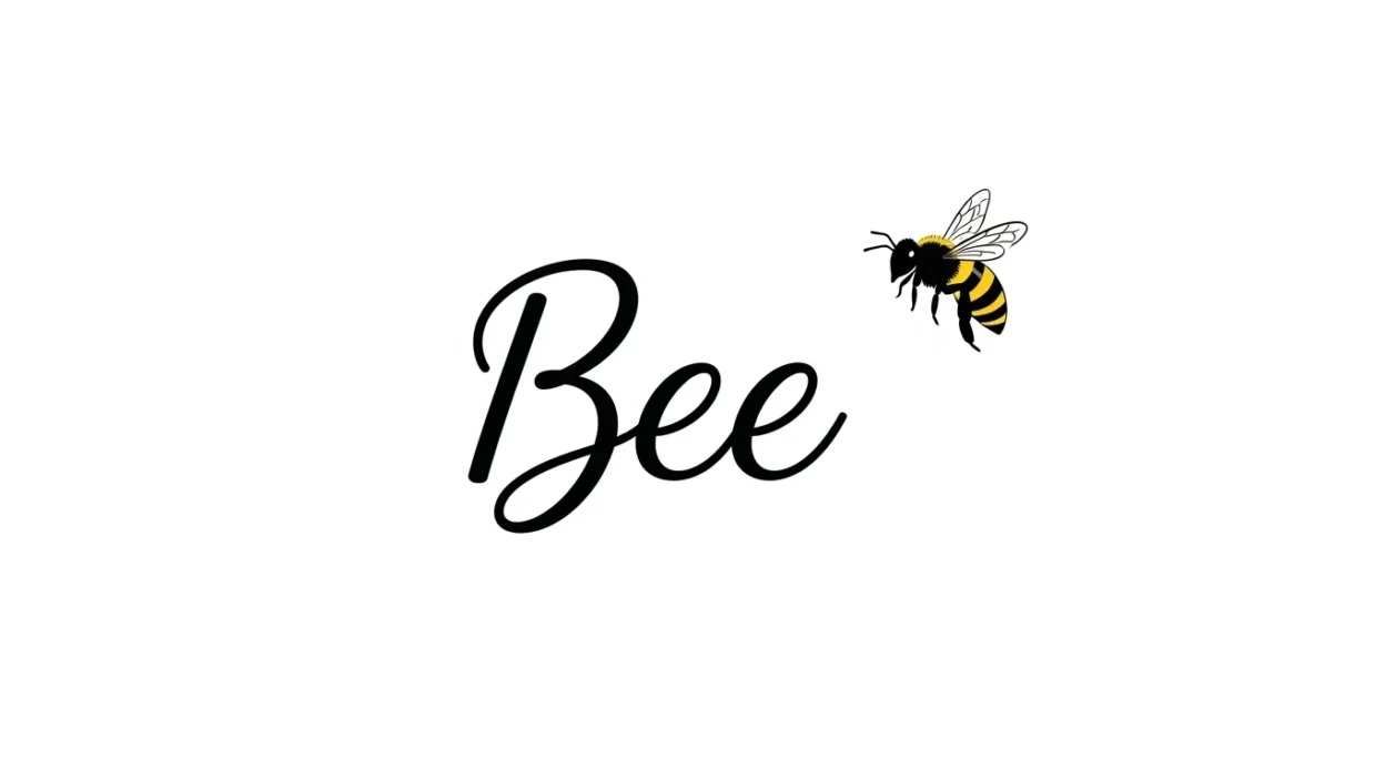 David Alaba and His Professional Playing Career