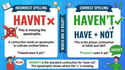 Havnt vs Havent